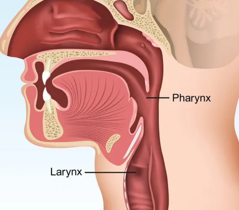 Oral Surgery